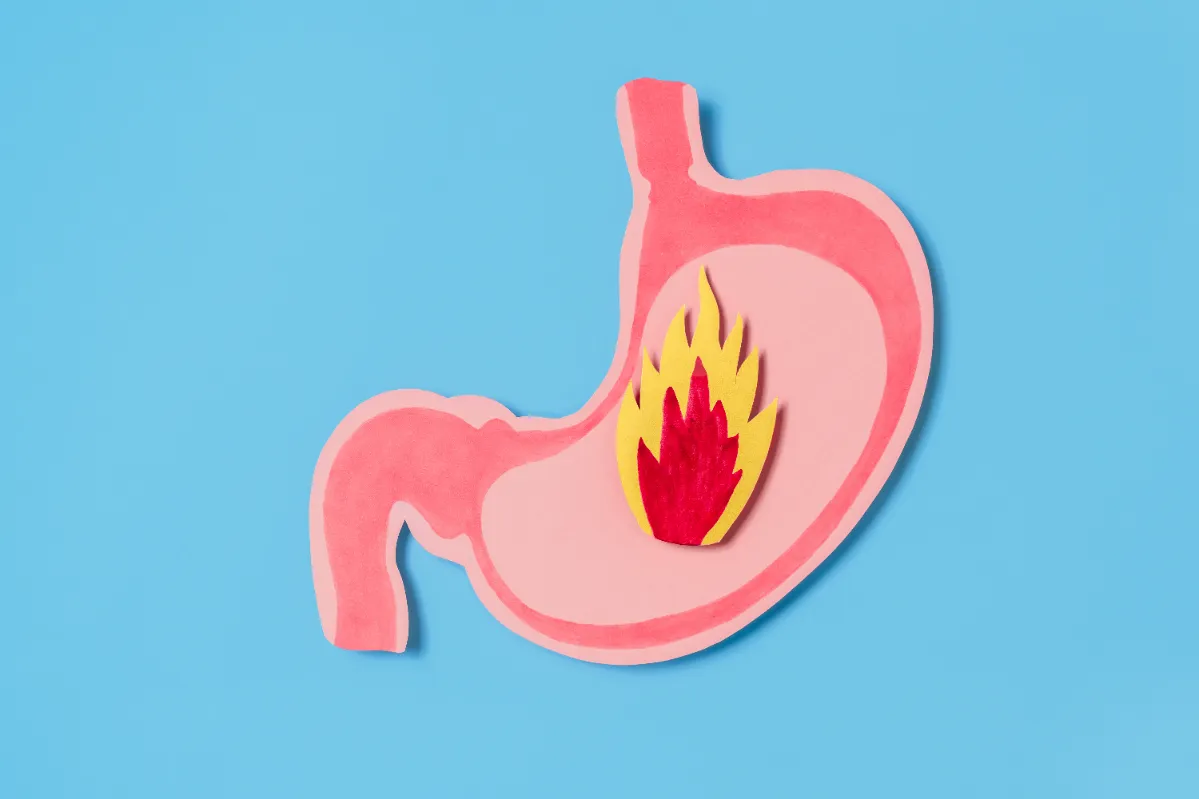 illustration of stomach with fire representing hea utc